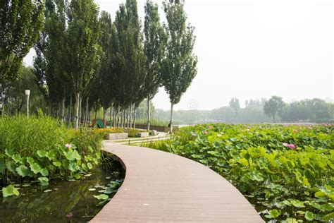 海淀的公園有哪些？談論公園在城市生活中的重要性